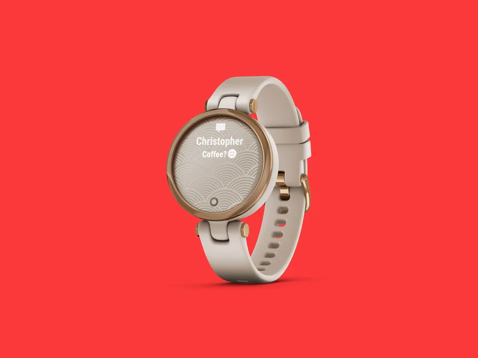 Garmin, Which Garmin Watch Is Best for You?, Catch Price Guide